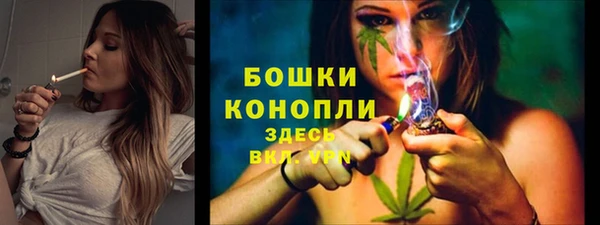 спайс Каменка