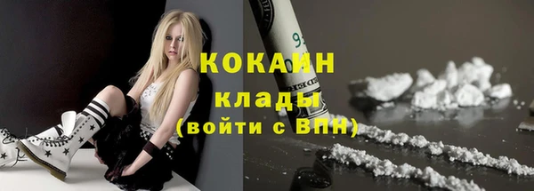 гидра Карпинск