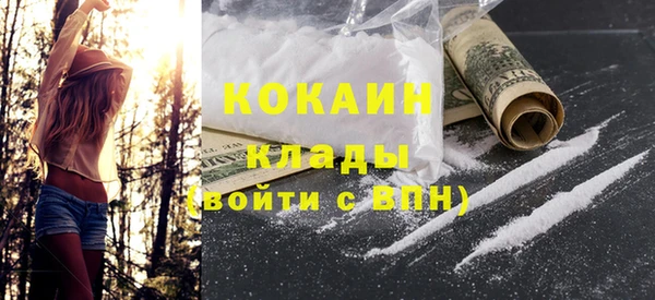 гидра Карпинск
