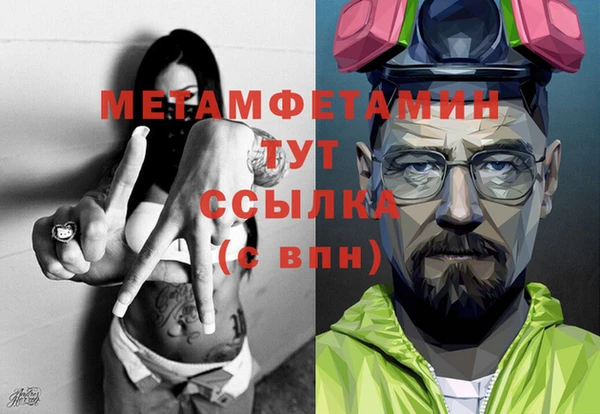 гидра Карпинск