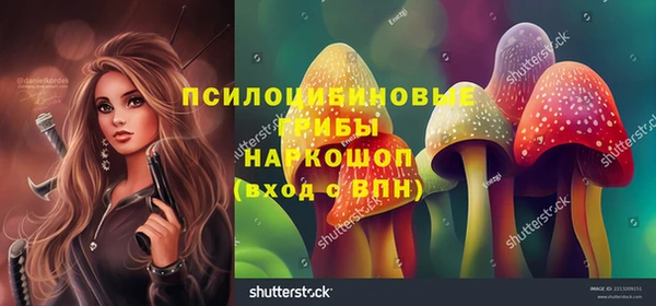 гидра Карпинск