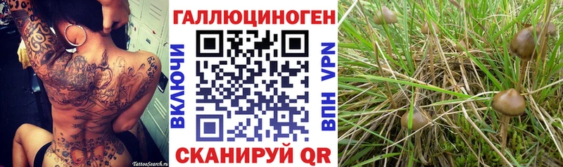 Галлюциногенные грибы прущие грибы  купить   Новошахтинск 