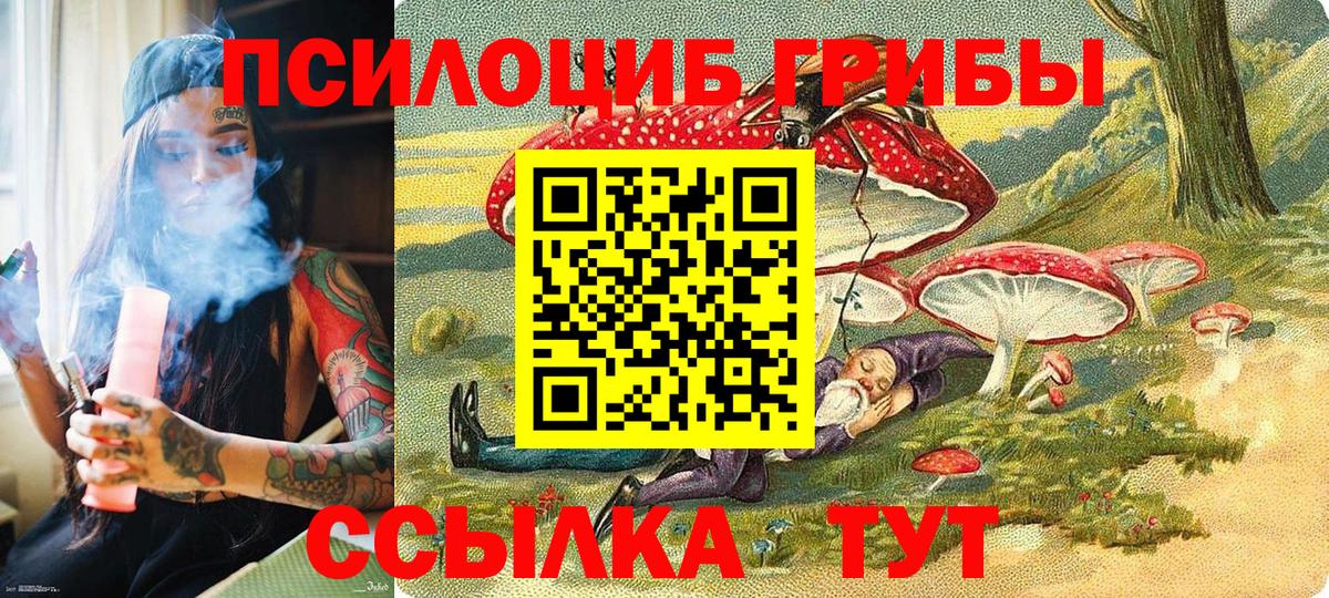 Псилоцибиновые грибы ЛСД  Галлюциногенные грибы Cubensis  Новошахтинск 