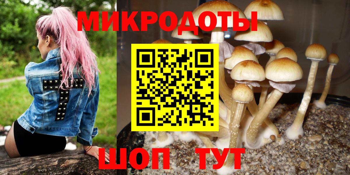 Новошахтинск  Галлюциногенные грибы Magic Shrooms  Вход с VPN 