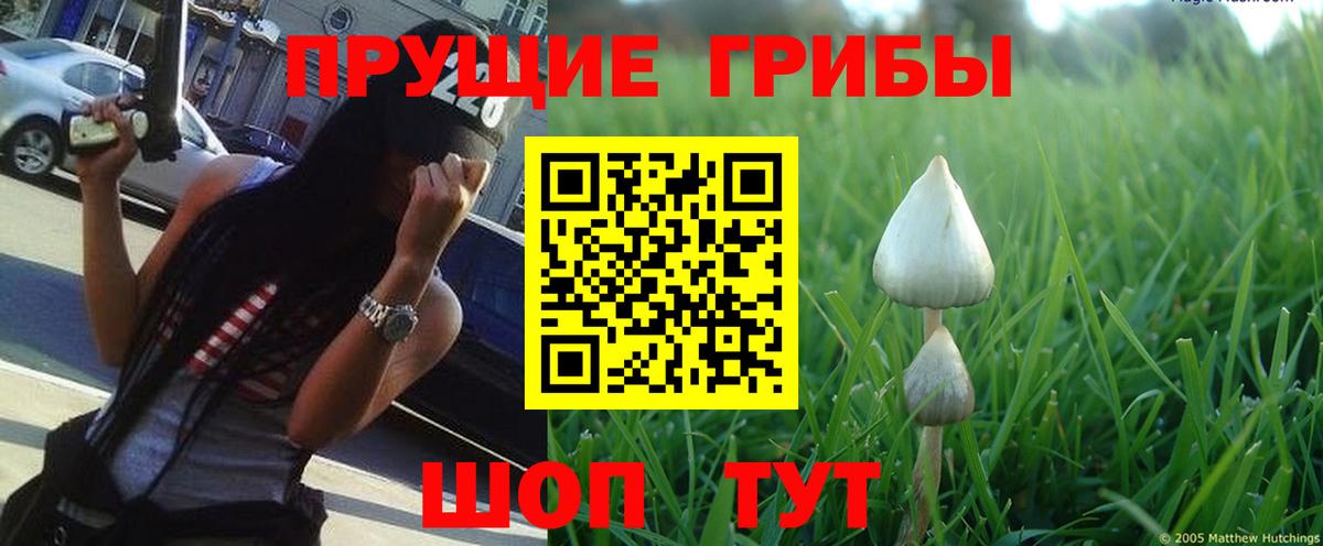 Галлюциногенные грибы ЛСД Новошахтинск