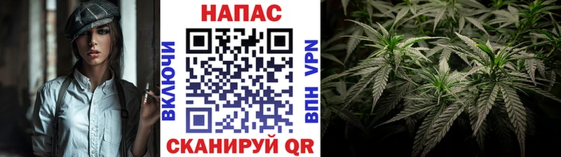купить закладку  Новошахтинск  МАРИХУАНА сатива 